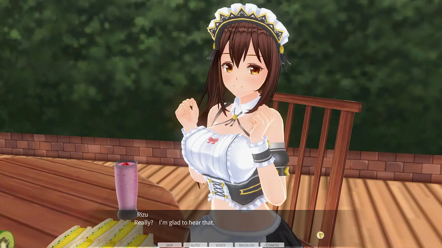 Custom Order Maid 3D2: Friendly and Slightly Naughty Woman GP-01Fb 3