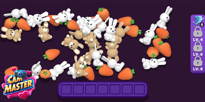 Bild zeigt eines der Match 3-Systeme von Cam Master